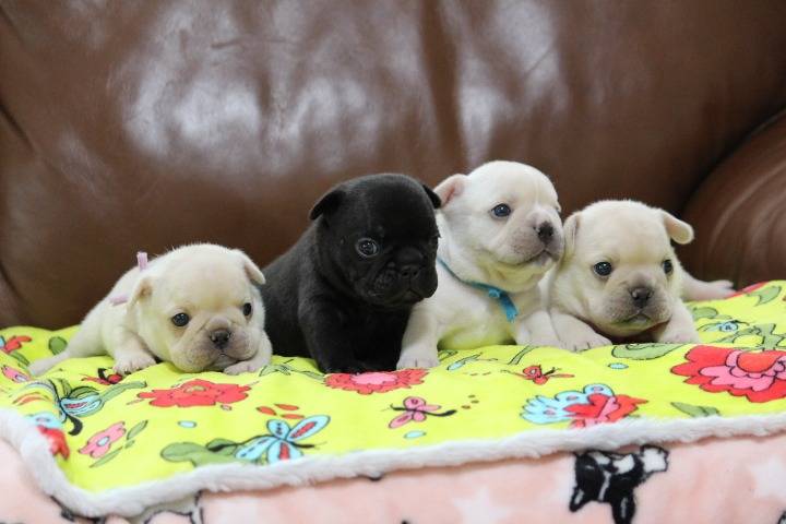 2025年ありがとうございました💛