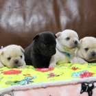 2025年ありがとうございました💛